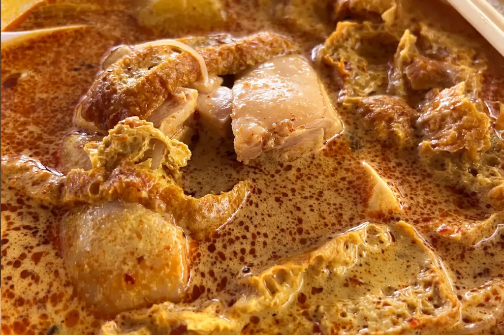 Surface of laksa—broth, noodles, and toppings settling together